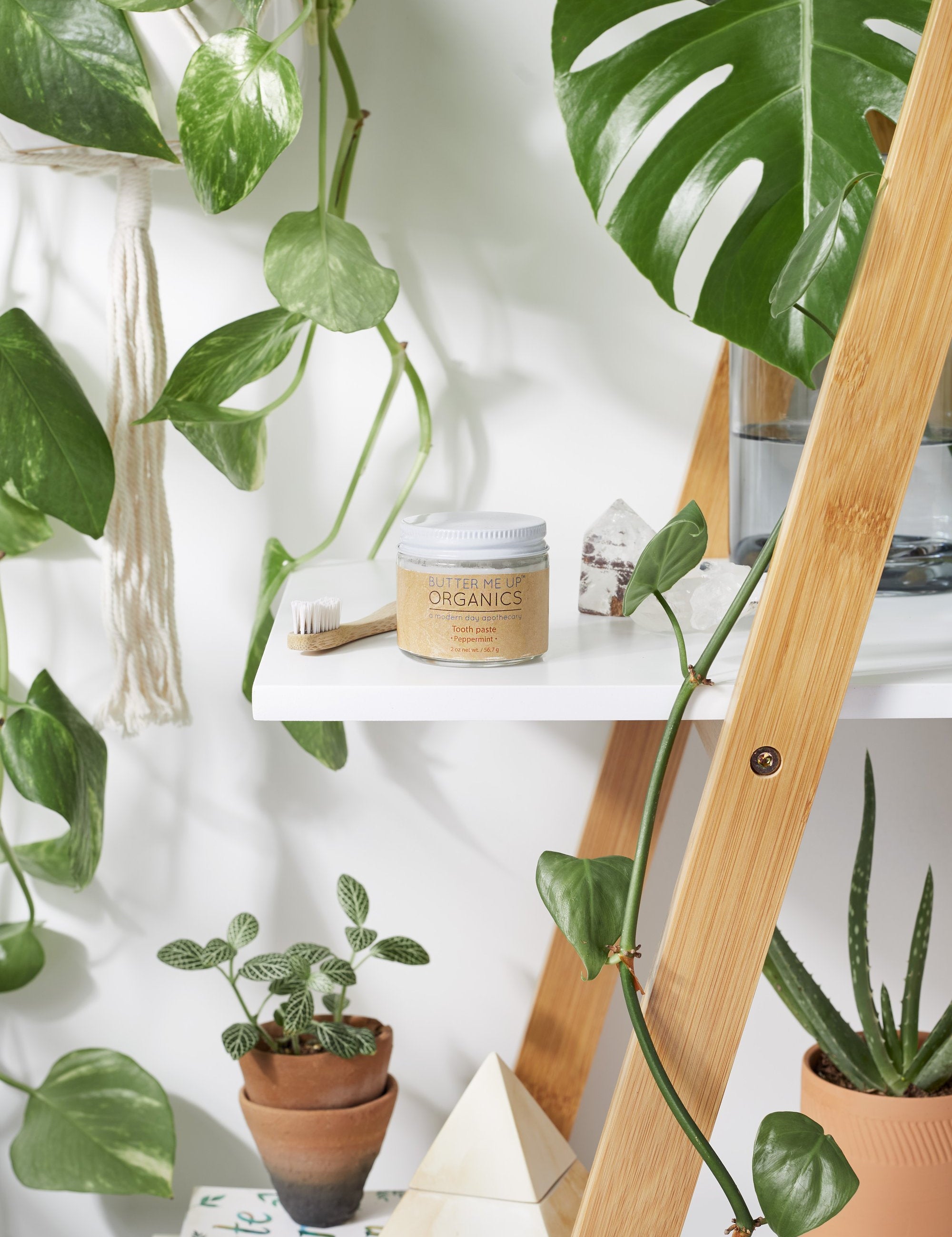 zoomed out shot of closed organic white toothpaste in glass jar with toothbrush and leaves in white backdrop