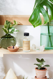 Organic Brightening Toner in aesthetic backdrop with crystals, green plants on a wooden shelf