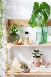 zoomed out Organic Brightening Toner in aesthetic backdrop with crystals, books, green plants on a wooden shelf